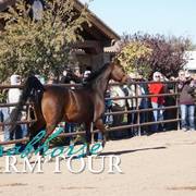 2018 - 2019 Farm Tours