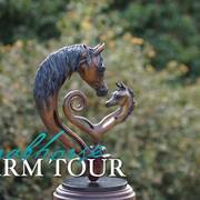 2018 - 2019 Farm Tours