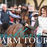 2018 - 2019 Farm Tours