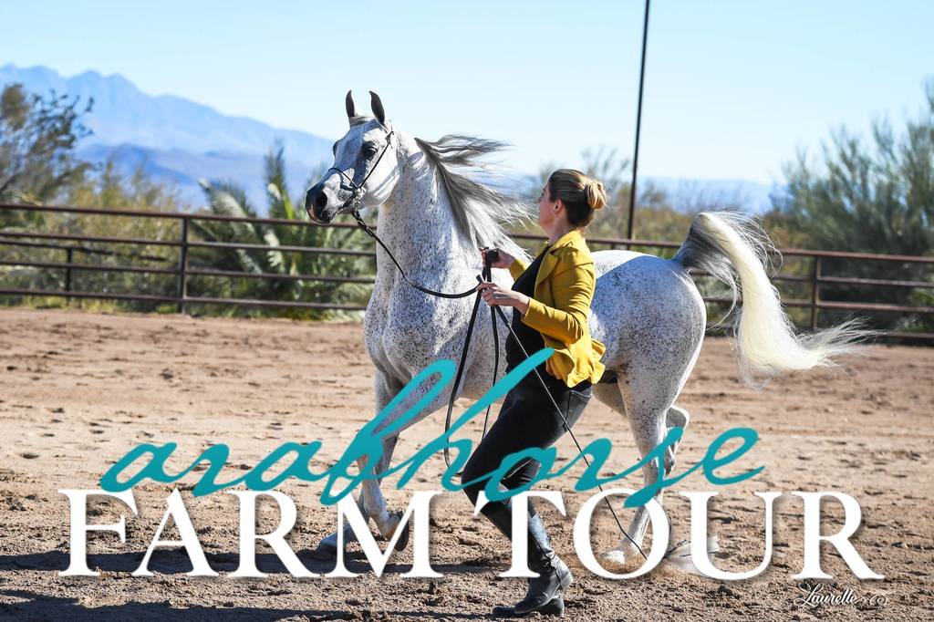 2018 - 2019 Farm Tours