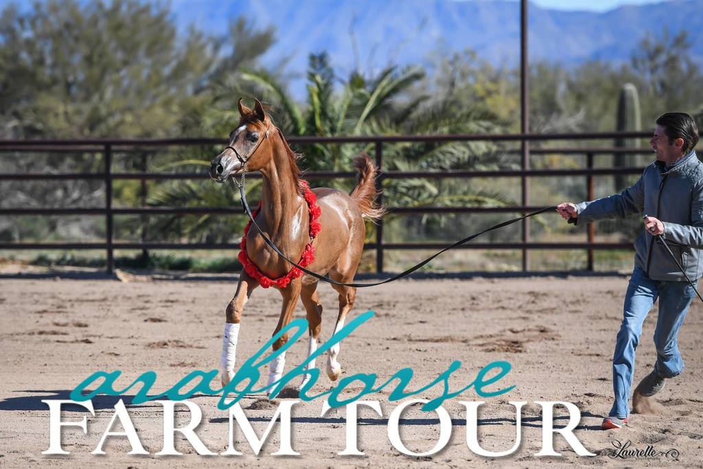 2018 - 2019 Farm Tours