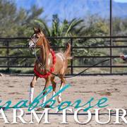 2018 - 2019 Farm Tours