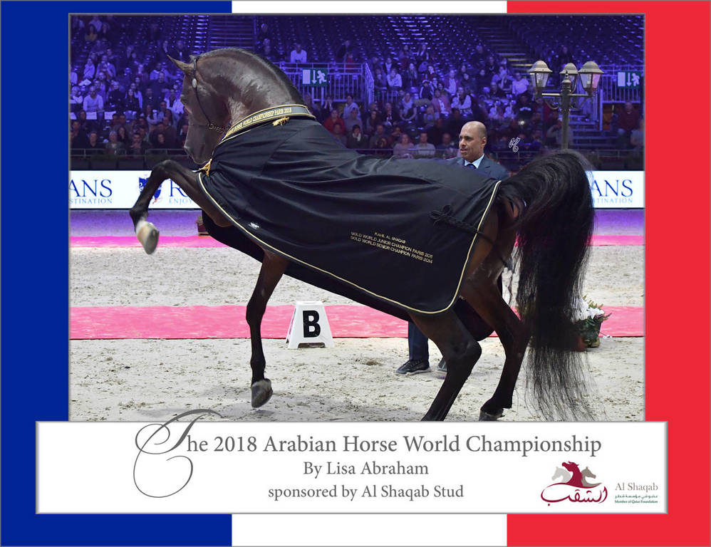 The 2018 World Arabian Horse Championship