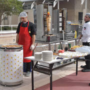 Lisa Abraham: A Presentation of the Al Rayyan Horses at Al Shaqab Stud