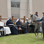 Lisa Abraham: A Presentation of the Al Rayyan Horses at Al Shaqab Stud