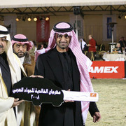 Reserve Champion Filly  - FS Cayenne(AS Natsir-Apal x FS Cleopatra)
Owner: Ajman Stud, UAE
Breeder: Frank Sponle, Germany