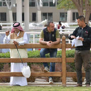 Lisa Abraham: A Presentation of the Al Rayyan Horses at Al Shaqab Stud