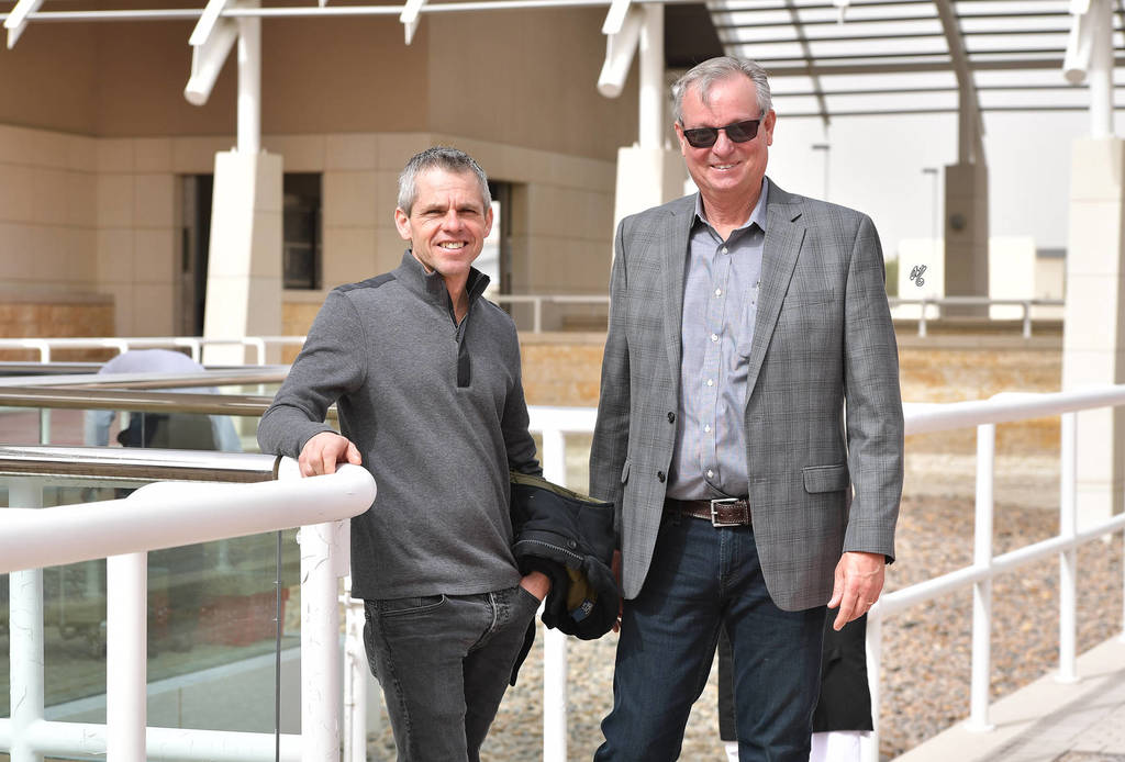 Lisa Abraham: A Presentation of the Al Rayyan Horses at Al Shaqab Stud