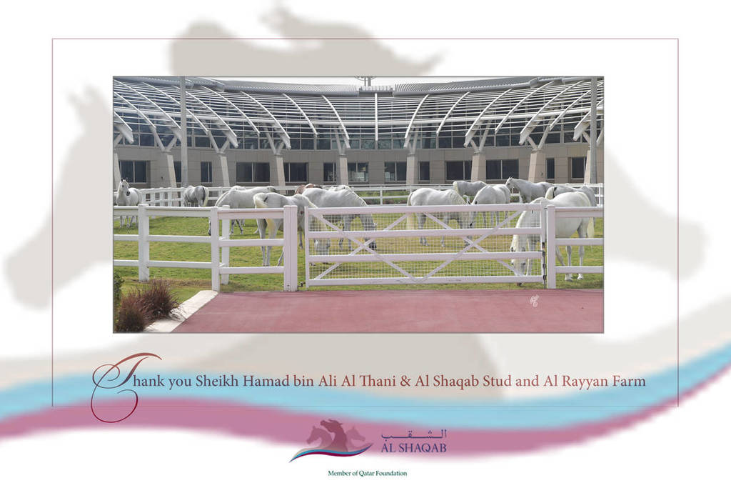 Lisa Abraham: A Presentation of the Al Rayyan Horses at Al Shaqab Stud