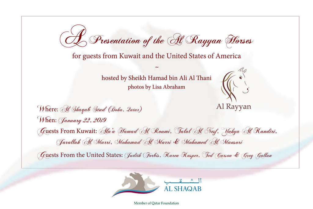 Lisa Abraham: A Presentation of the Al Rayyan Horses at Al Shaqab Stud