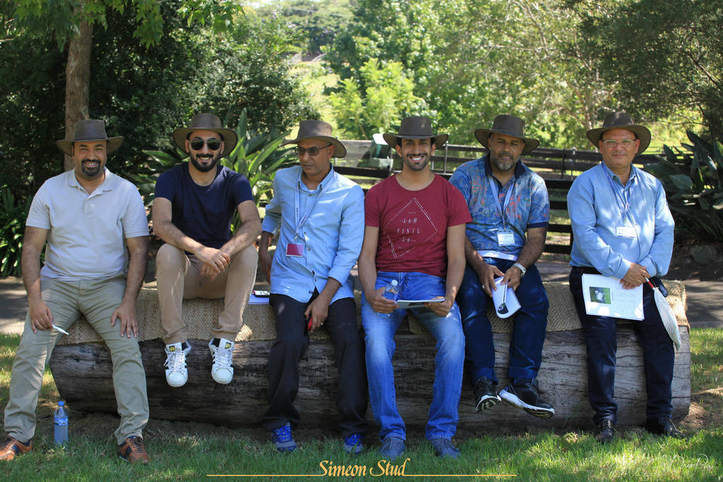 Simeon Stud Open Day - WAHO 2019