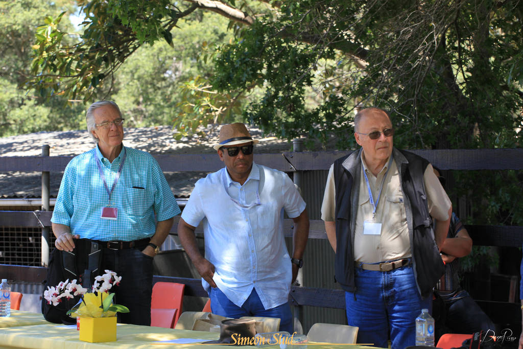 Simeon Stud Open Day - WAHO 2019