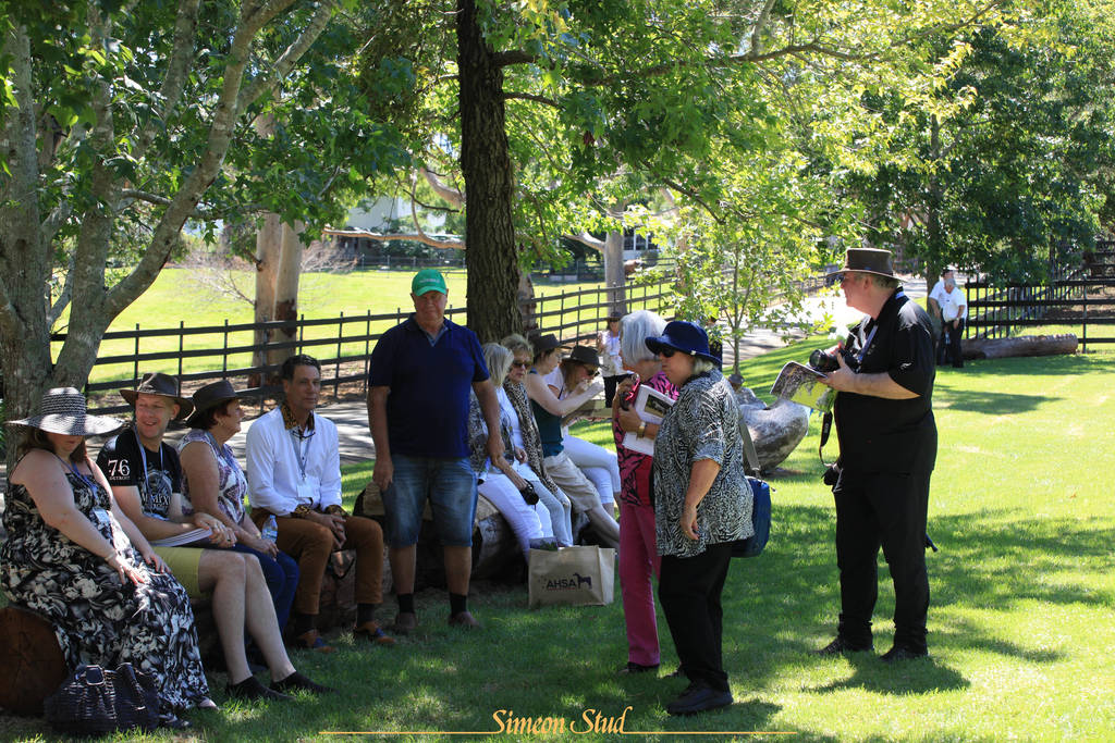 Simeon Stud Open Day - WAHO 2019
