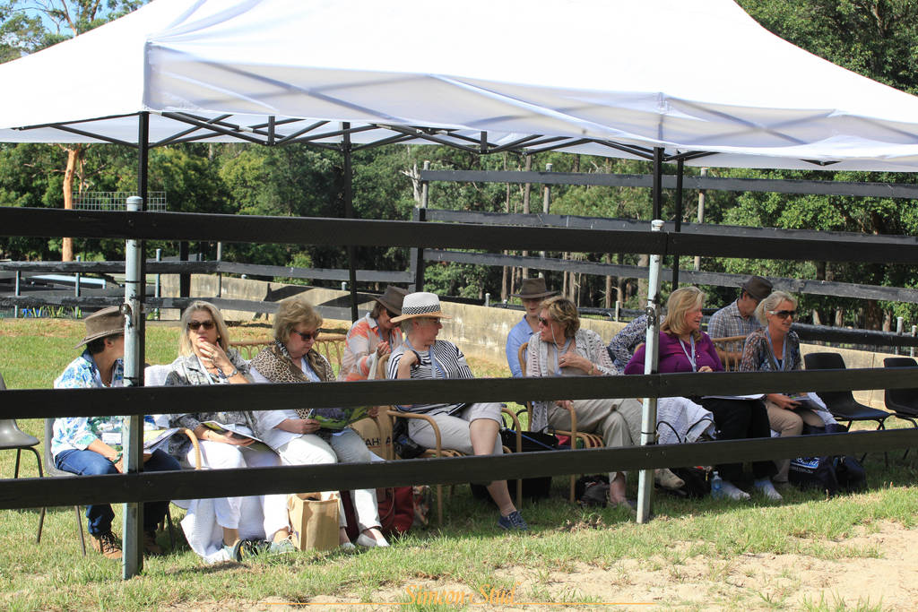 Simeon Stud Open Day - WAHO 2019