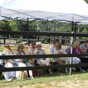 Simeon Stud Open Day - WAHO 2019