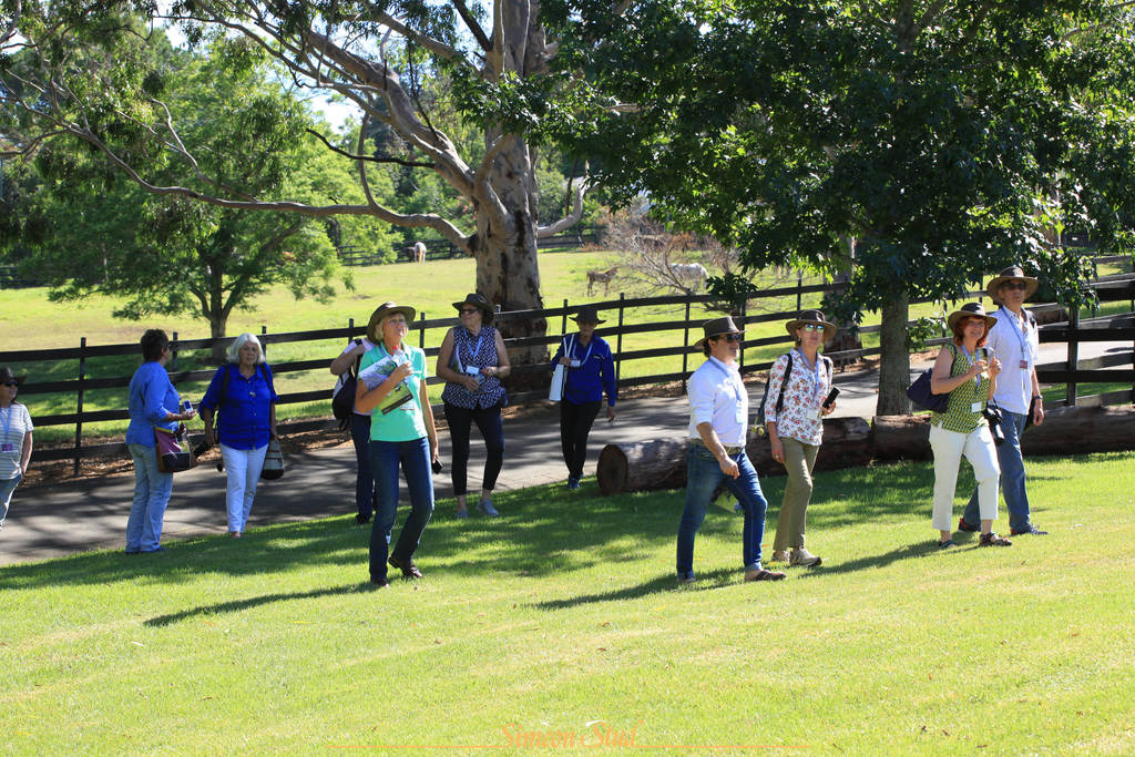 Simeon Stud Open Day - WAHO 2019