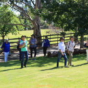 Simeon Stud Open Day - WAHO 2019