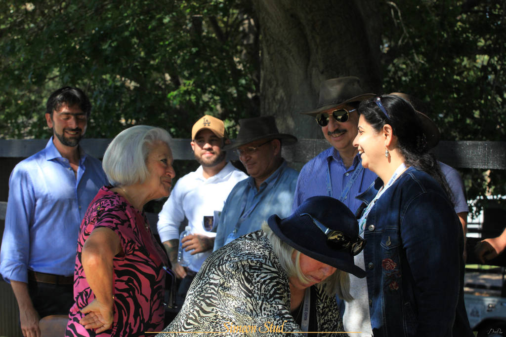 Simeon Stud Open Day - WAHO 2019