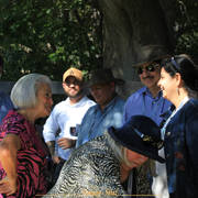 Simeon Stud Open Day - WAHO 2019