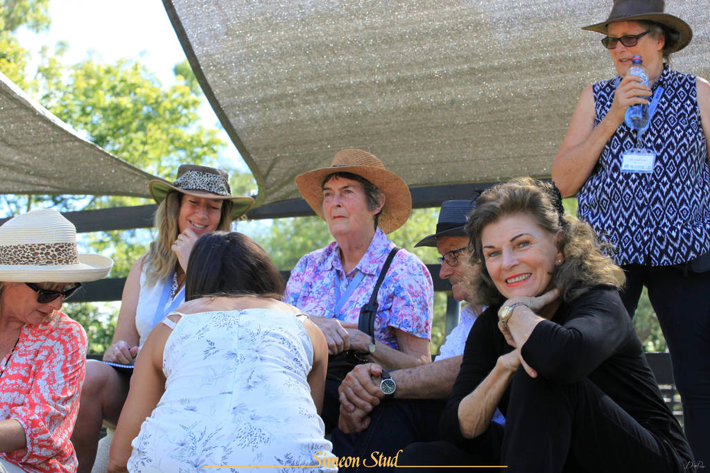 Simeon Stud Open Day - WAHO 2019