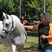 Simeon Stud Open Day - WAHO 2019
