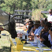 Simeon Stud Open Day - WAHO 2019