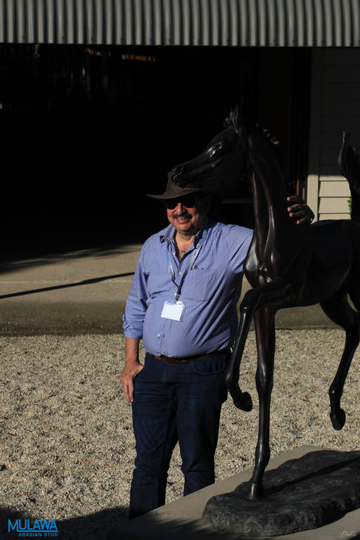 Mulawa Arabian Stud Open Day - WAHO 2019