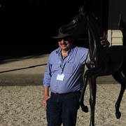 Mulawa Arabian Stud Open Day - WAHO 2019