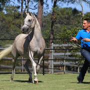 Mulawa Arabian Stud Open Day - WAHO 2019