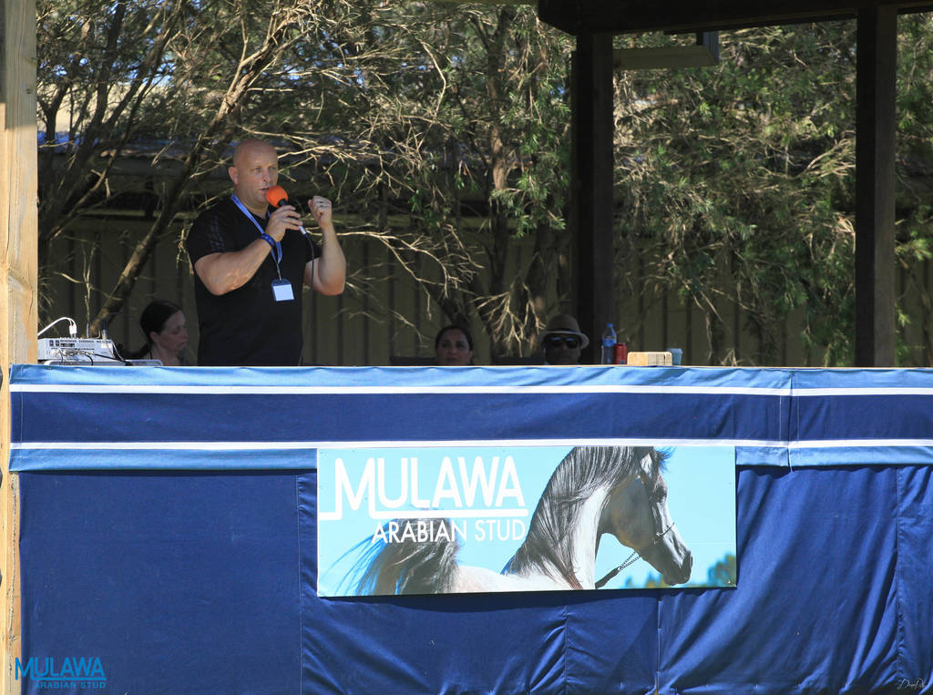 Mulawa Arabian Stud Open Day - WAHO 2019