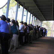 Mulawa Arabian Stud Open Day - WAHO 2019