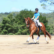 Mulawa Arabian Stud Open Day - WAHO 2019
