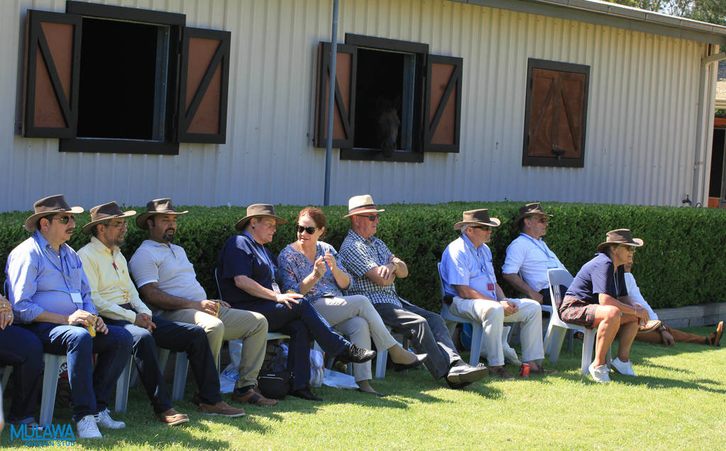 Mulawa Arabian Stud Open Day - WAHO 2019