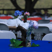 Mulawa Arabian Stud Open Day - WAHO 2019