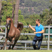 Mulawa Arabian Stud Open Day - WAHO 2019