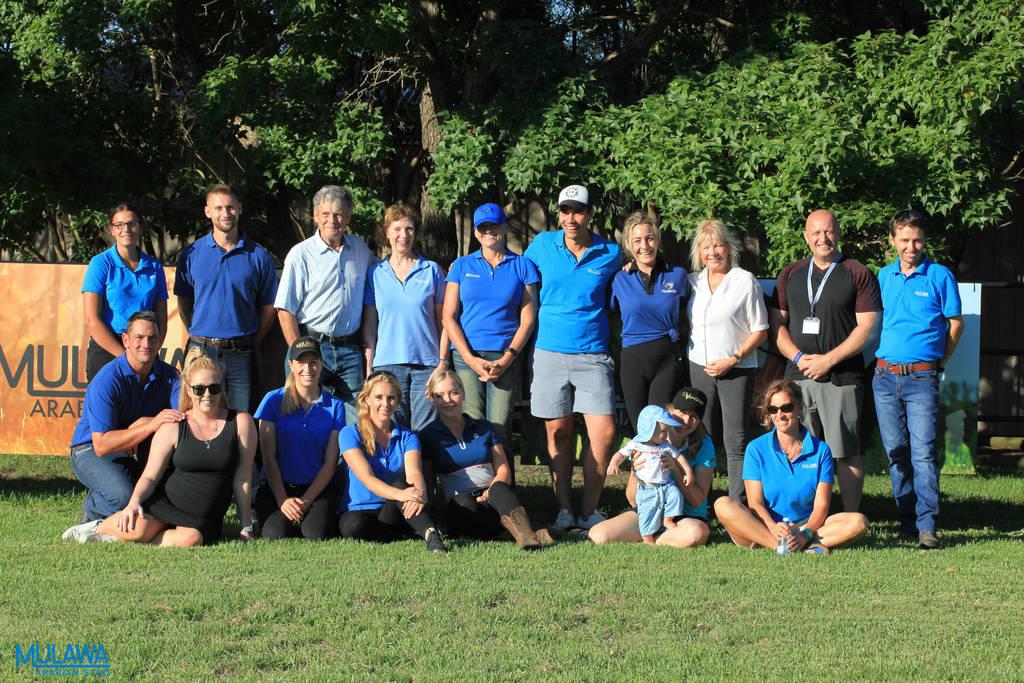 Mulawa Arabian Stud Open Day - WAHO 2019