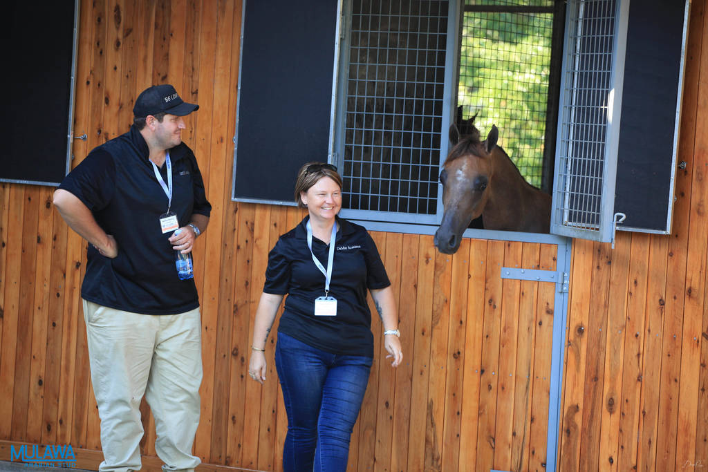 Mulawa Arabian Stud Open Day - WAHO 2019
