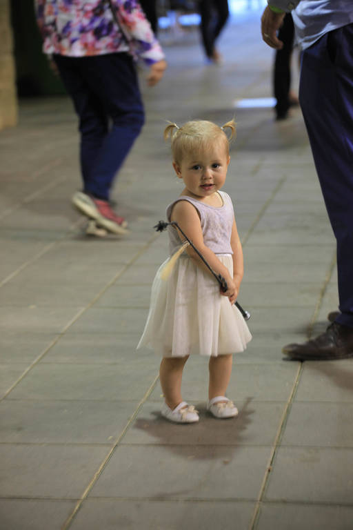 East Coast Arabian Championships 2019