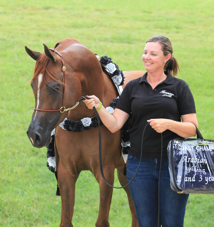 East Coast Arabian Championships 2019