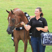 East Coast Arabian Championships 2019