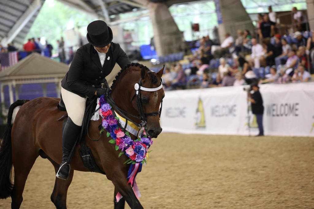 East Coast Arabian Championships 2019