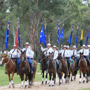 East Coast Arabian Championships 2019