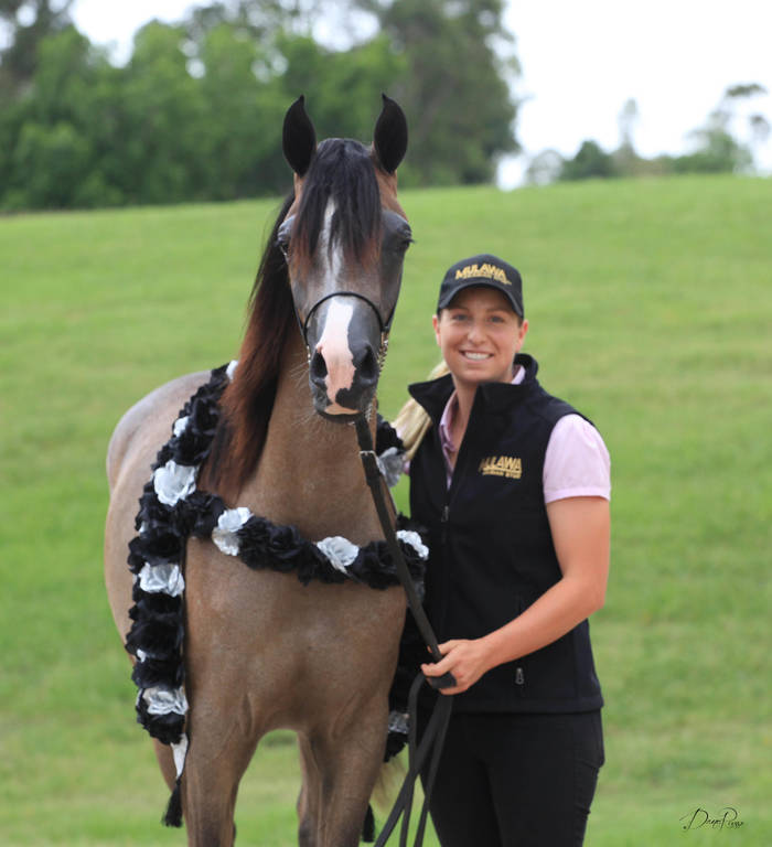 East Coast Arabian Championships 2019