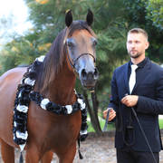 East Coast Arabian Championships 2019