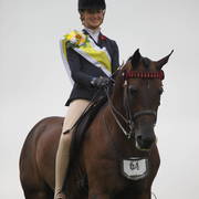 East Coast Arabian Championships 2019