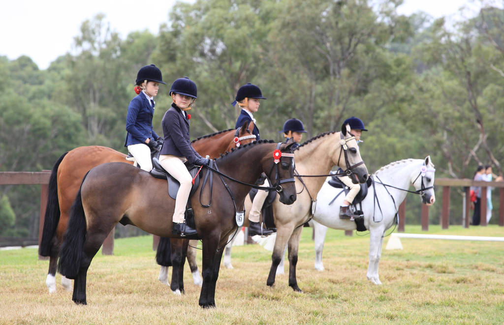 East Coast Arabian Championships 2019