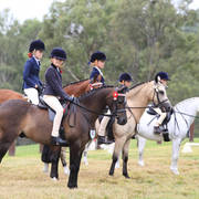 East Coast Arabian Championships 2019