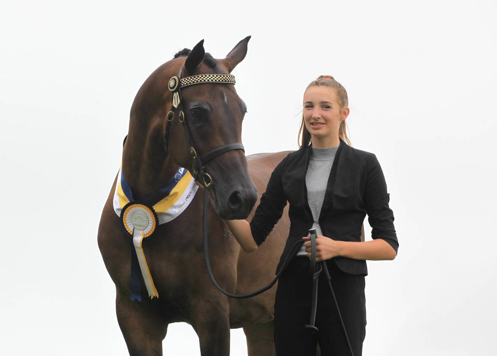 East Coast Arabian Championships 2019