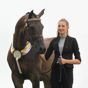 East Coast Arabian Championships 2019