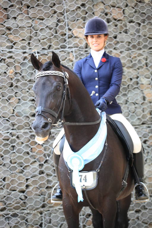 East Coast Arabian Championships 2019